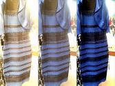 Blue and black or white and gold dress?